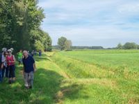 weiter auf dem Wiesenpfad