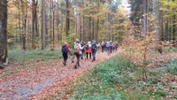 Durch den Herbstwald